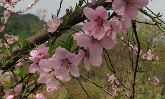 旋乐吧spin8·(中国)手机版官方网站